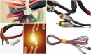 Cat Cable Types