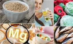 Pregnancy Nutrition Lists