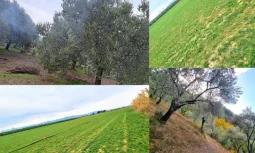 Is a Plot of Land for Sale in Akçay in Compliance with Zoning Plans?
