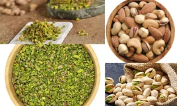 Turkish Nuts Türkiye’nin Zengin Kuruyemiş Kültürü