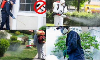 Why Chimney Cleaning Is Important