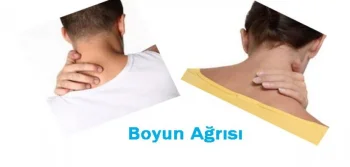 Neck Pain