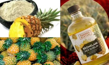 Bromelain Mix Enzymatic Protection Processes and Bioactive Tissue Integration