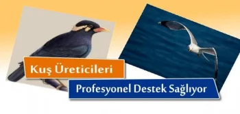 Kuş Üreticileri Profesyonel Destek Sağlıyor