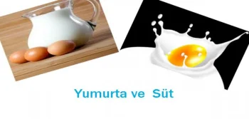  Süt ve Yumurtada Yapılan Hatalar