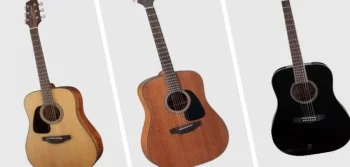 Takamine GD10-NS Özellİkleri