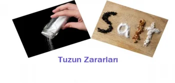 Tuzun Zararları