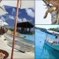 Hangi Ayda Nereye Balayına Gidilir