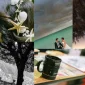 İstanbul photographer Ne İş Yapar?