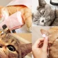 Evde Kedi Bakımı İçin Temel İpuçları
