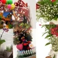 The Way to Make Your Loved Ones Happy