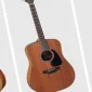 Takamine GD10-NS Features