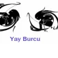 Yay Burcu Genel Özellikleri 